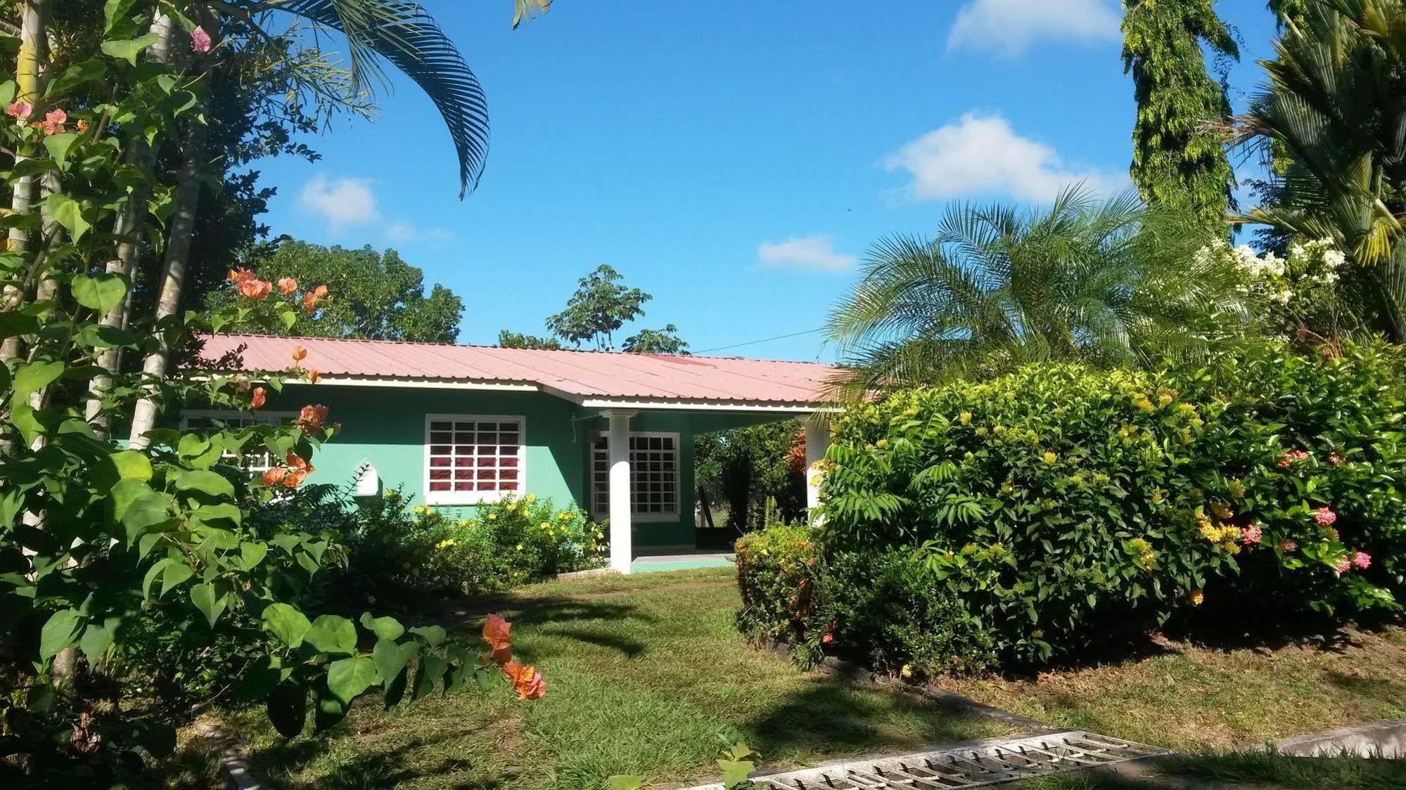 Guest house Little Italy 3*