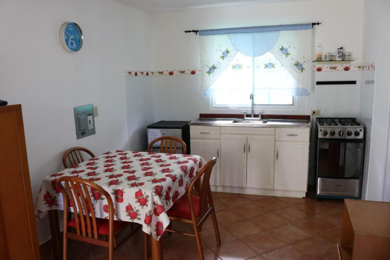 Guest house Little Italy 3*